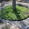 Kép 1/2 - litenet tree bio1