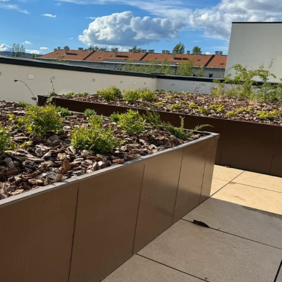 RoofMaze