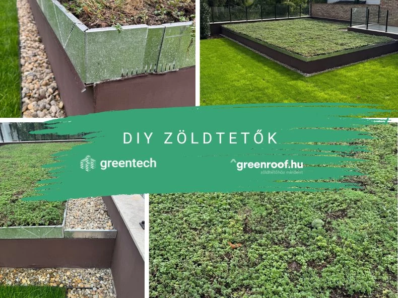 DIY zöldtető - tapasztalatok, tanácsok kezdőknek és haladóknak