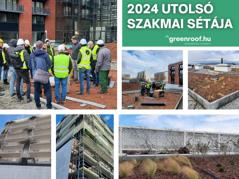 Metrodom Green – 2024 utolsó vezetett szakmai sétája