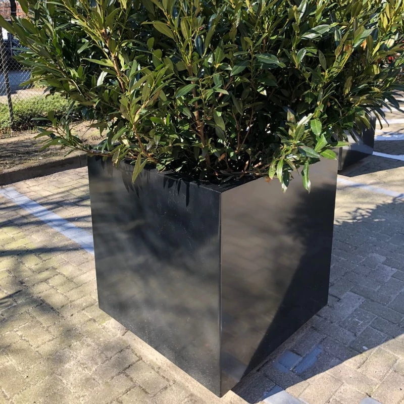 GreenPot_beültetve
