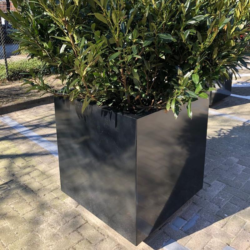 GreenPot_beültetve