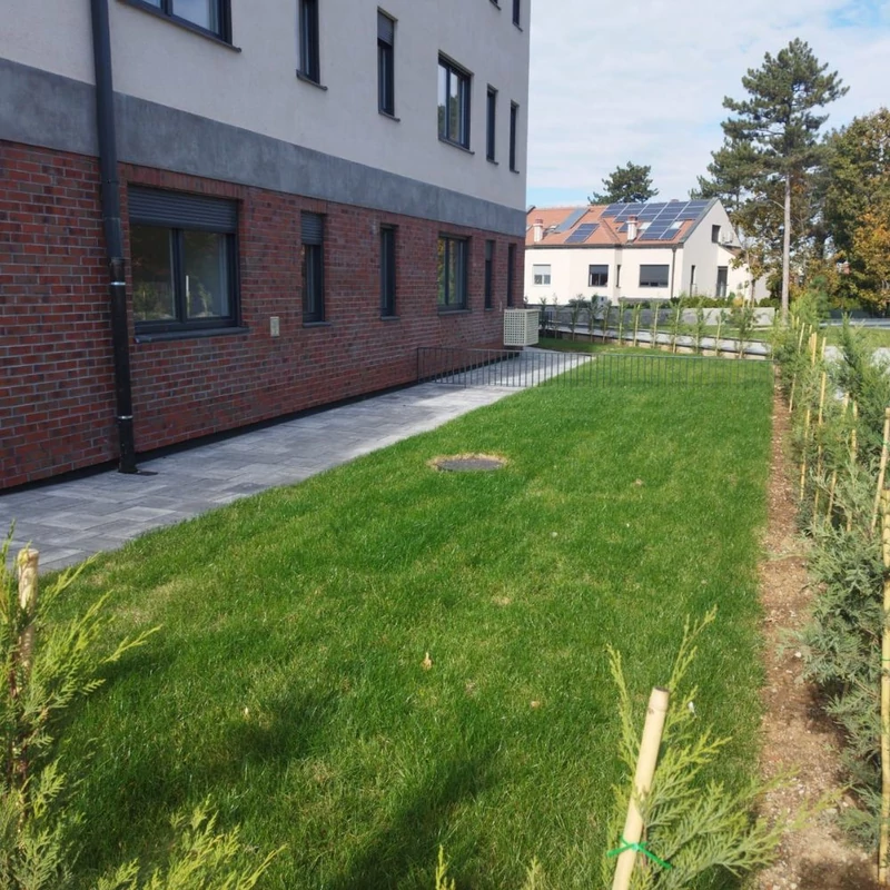 lite-soil csepegtetés